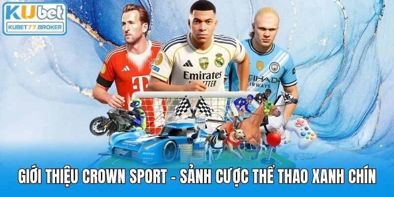 Giới thiệu Crown Sport - Sảnh cược thể thao xanh chín