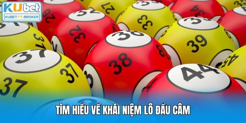 Tìm hiểu về khái niệm lô đầu câm